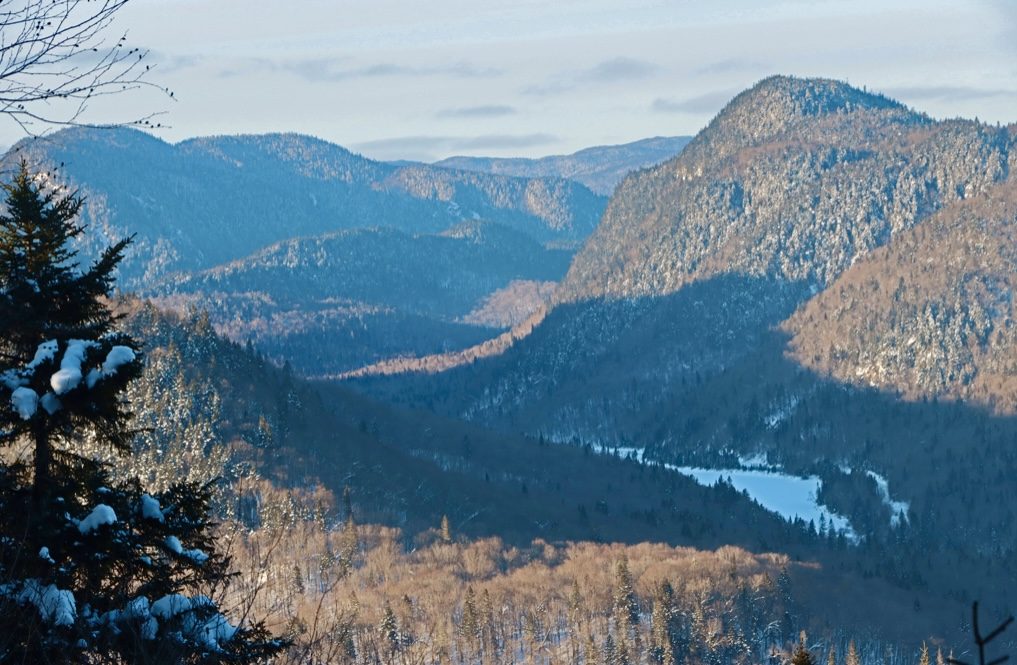 Découvrir la Jacques-Cartier