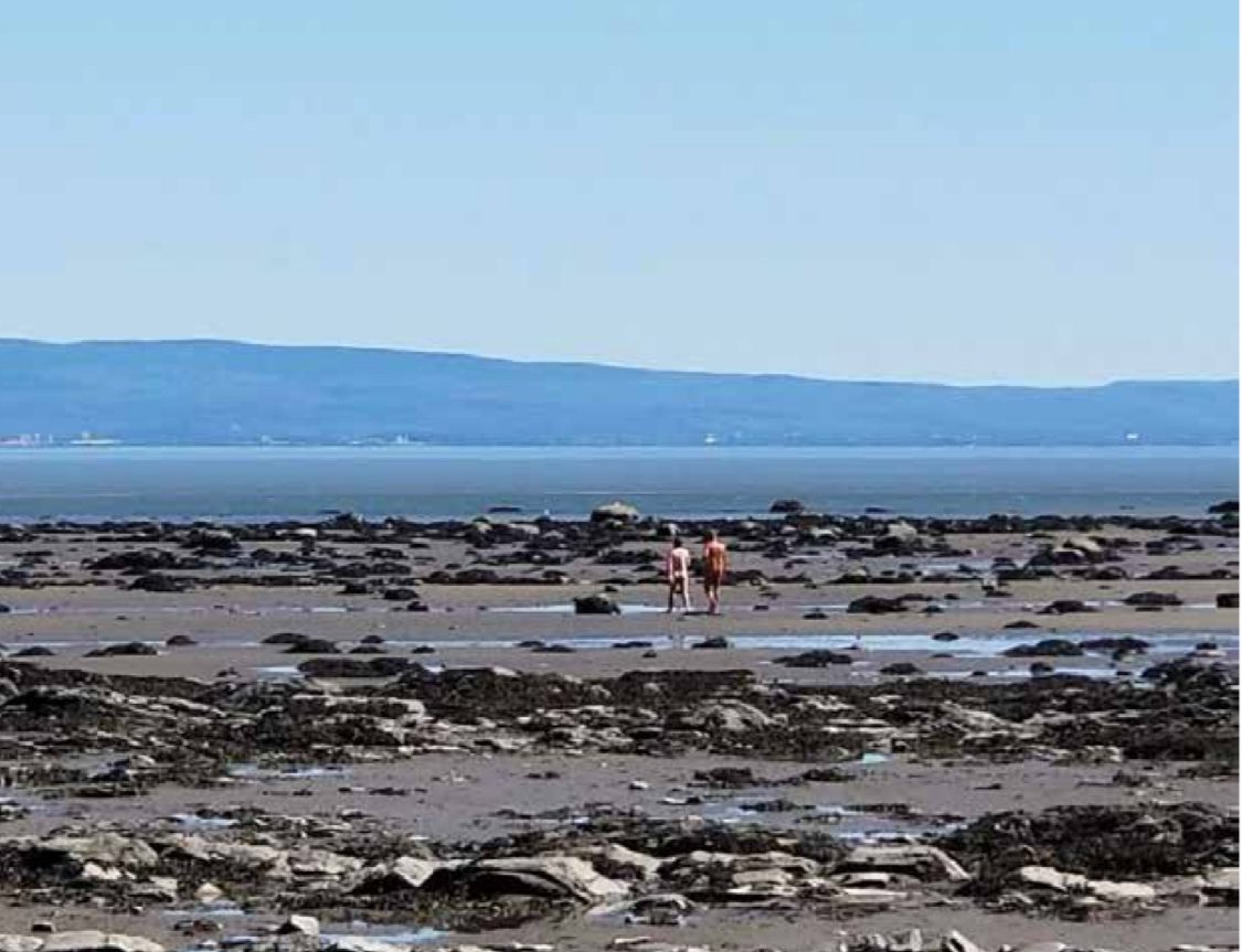 Cap-aux-oies, paradis naturiste dans Charlevoix