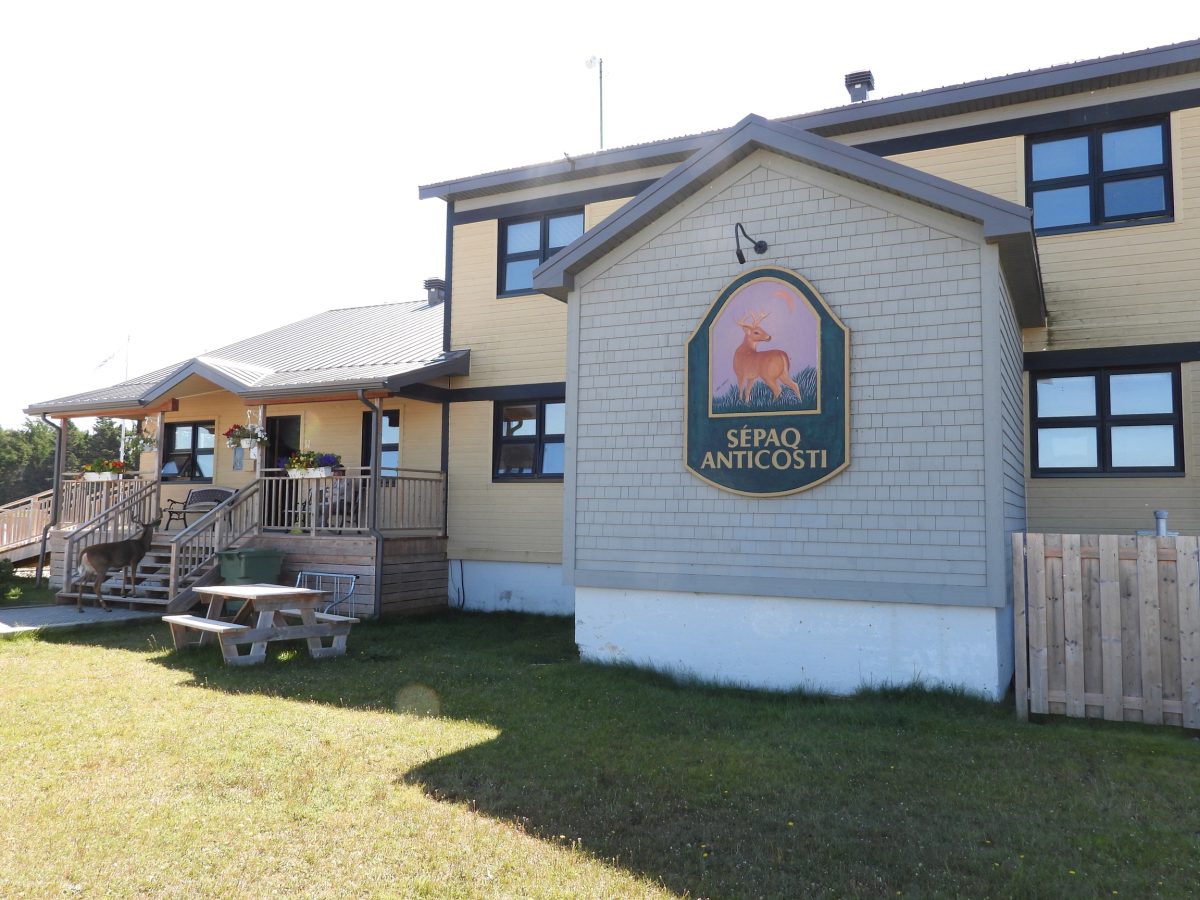 La SÉPAQ Anticosti : « Plus que l’île aux chevreuils » assure son directeur général 
