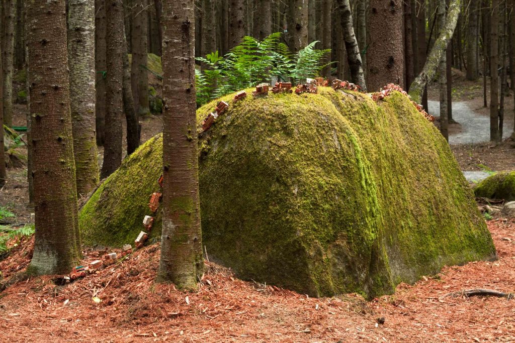 D’arts et de nature