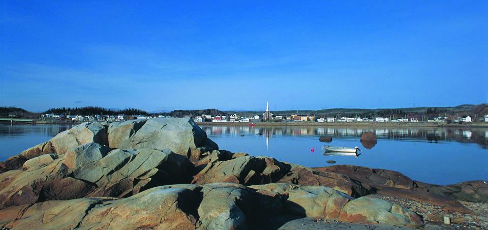 Place aux baleines !