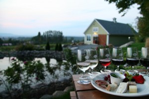 Vignoble Les Petits Cailloux