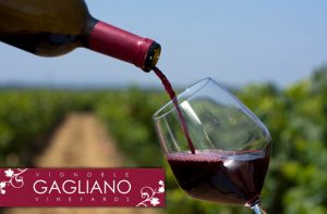 Vignoble Gagliano