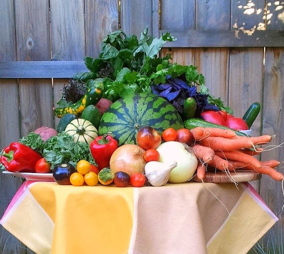 Ferme Roots and Shoots Farm