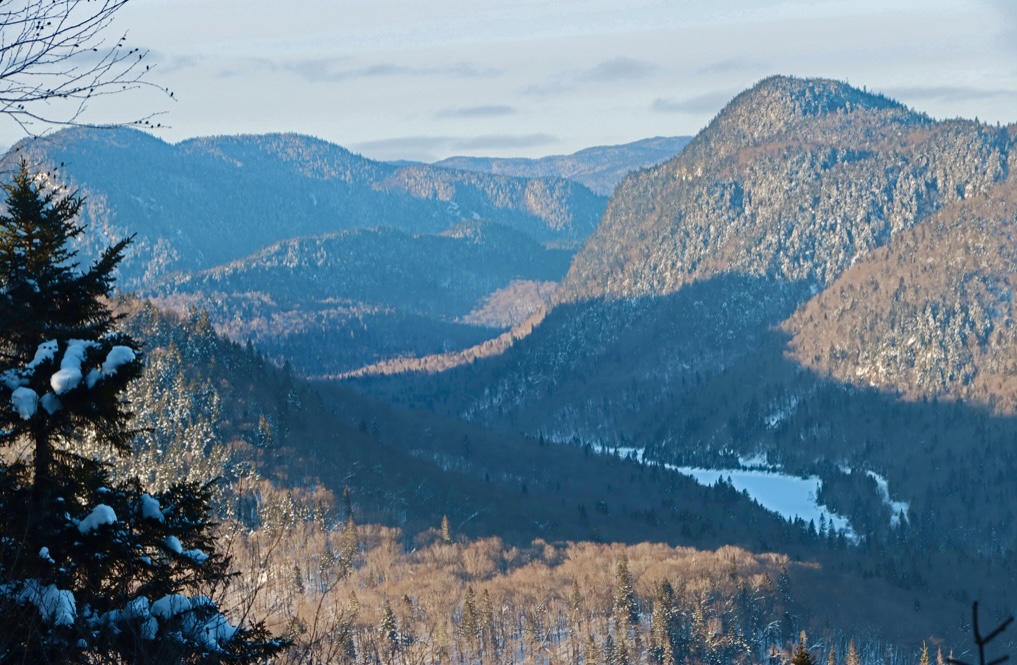 Découvrir la Jacques-Cartier