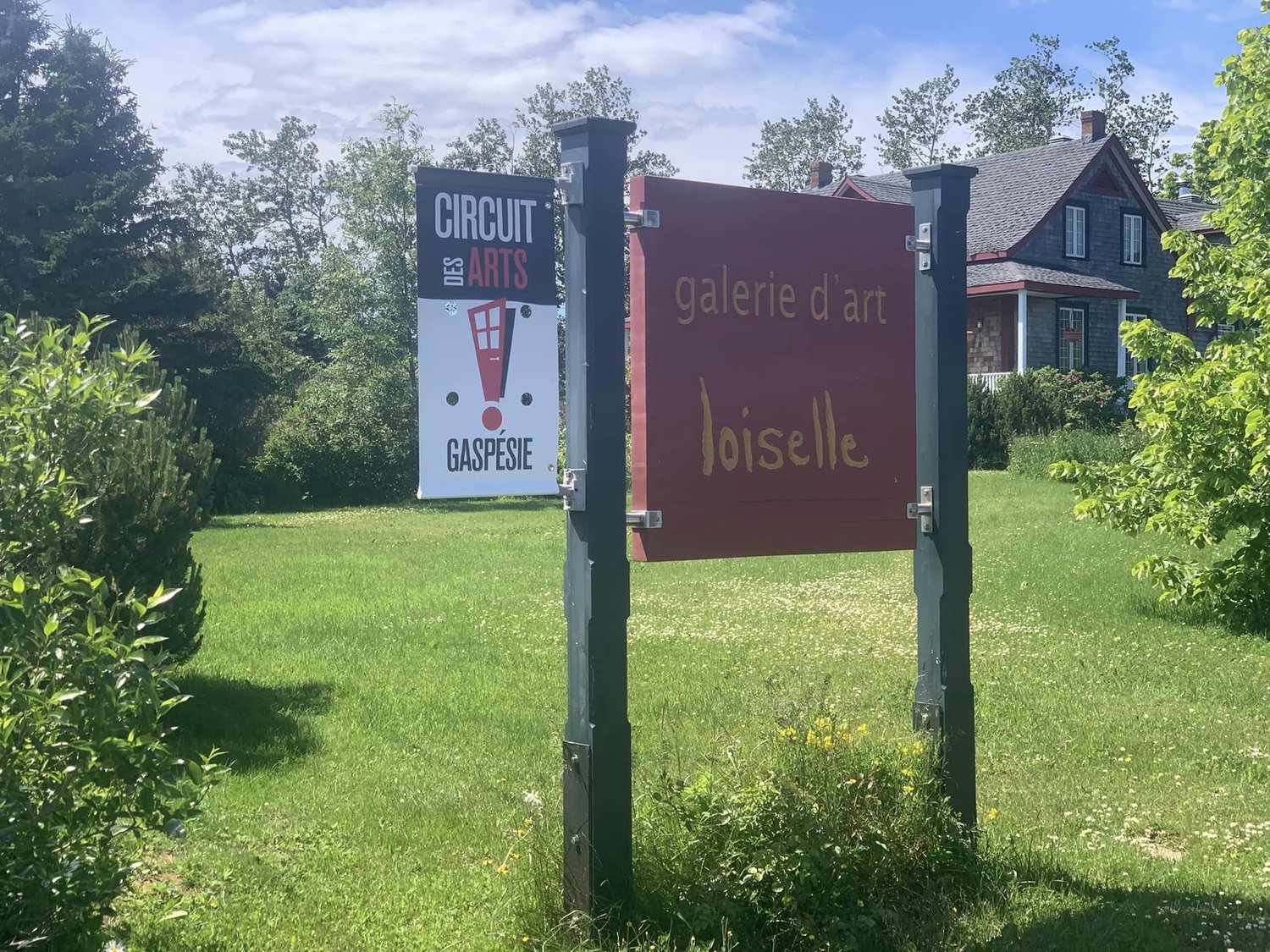 Denis Loiselle : la peinture pour « guérir » de tout 