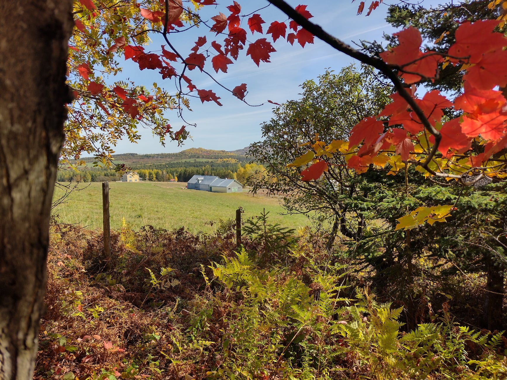 Le renouveau en agriculture motive les éleveurs de la Ferme Ambrosia de Charlevoix