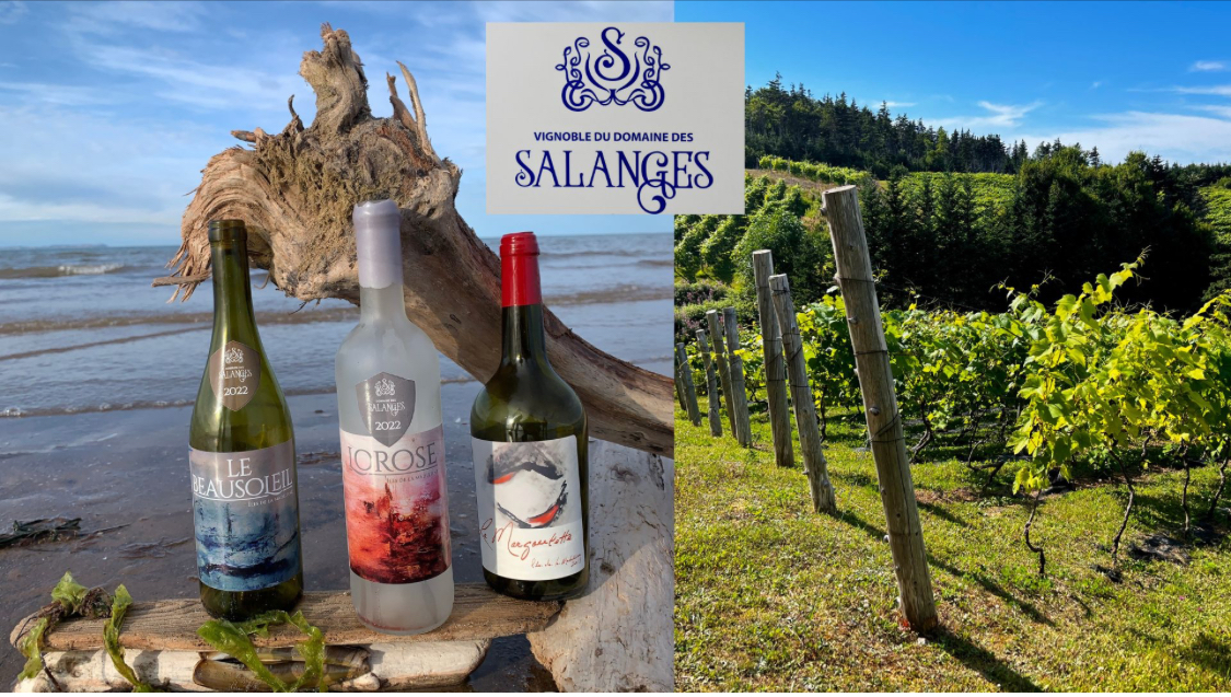 Vins québécois Vins québécois