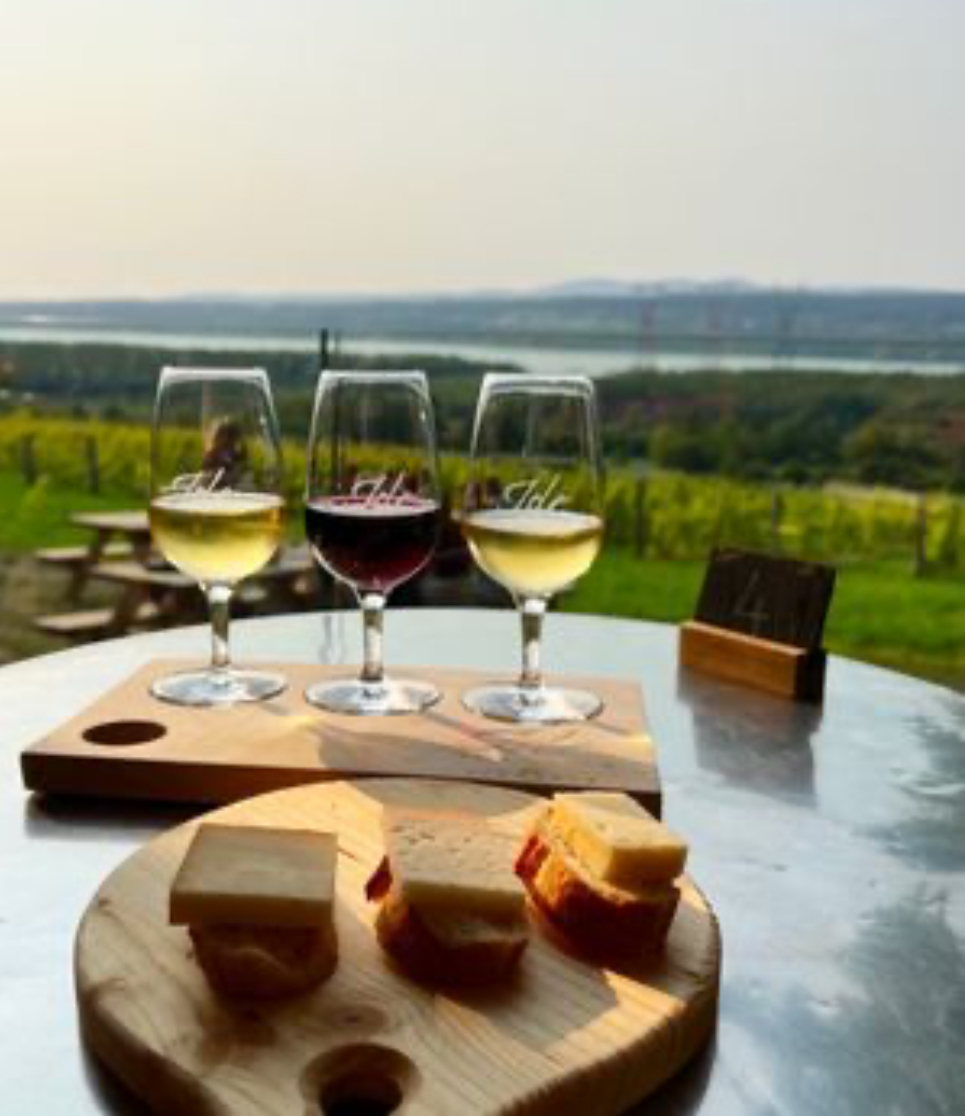Vins québécois Vins québécois