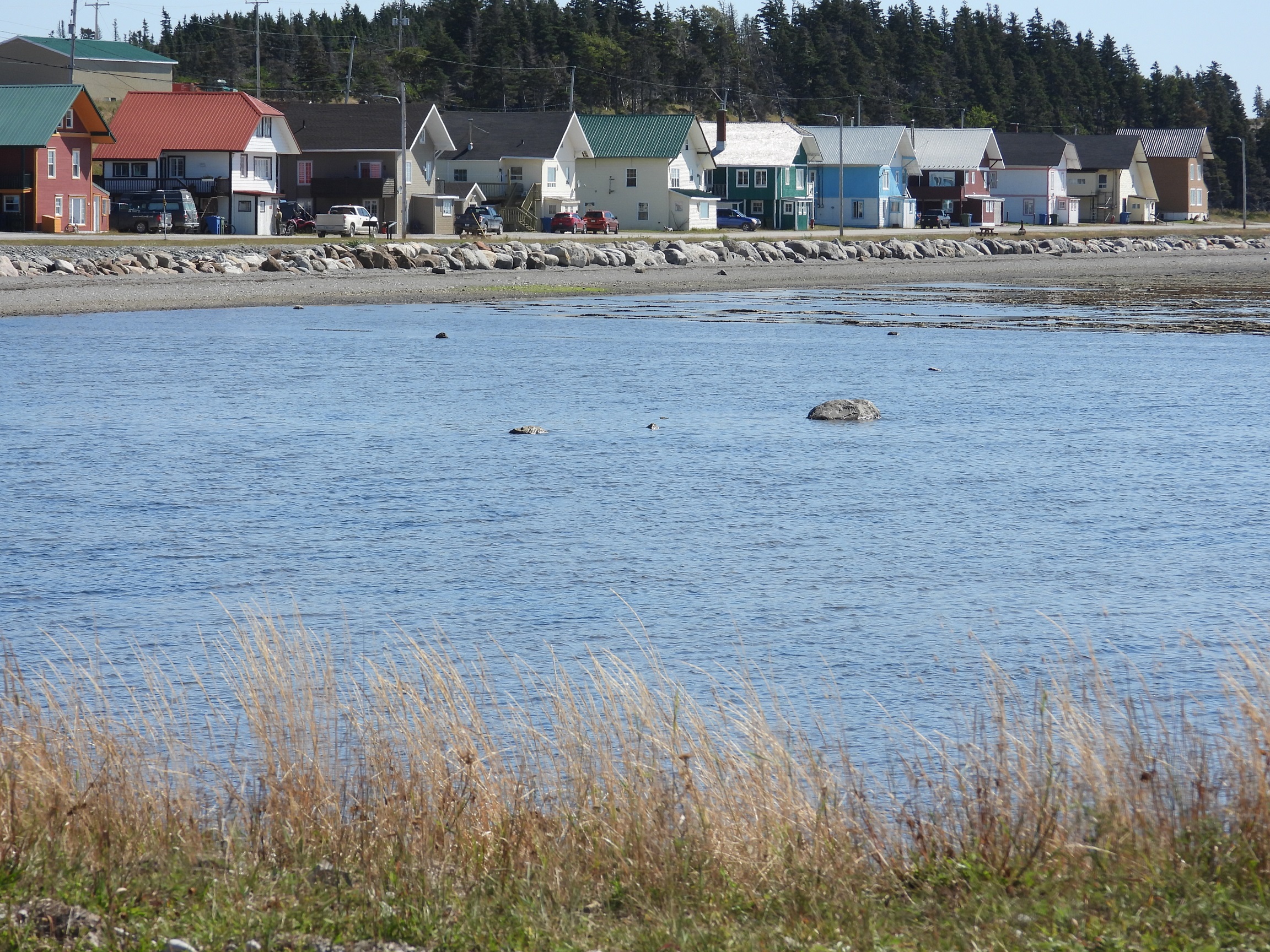 Anticosti