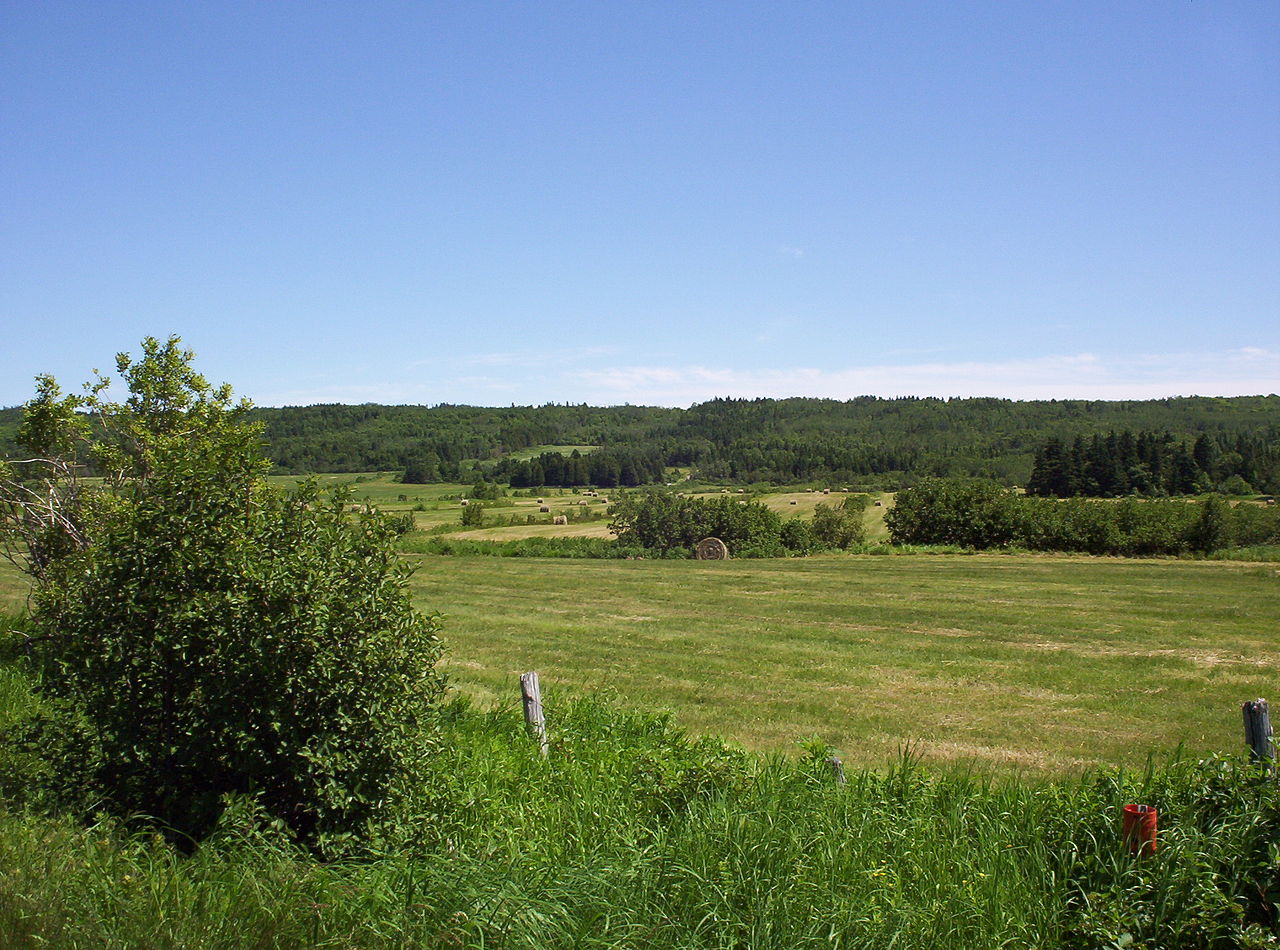 Ailleurs au Bas-Saint-Laurent