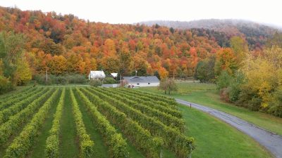 L’éden du Mont Yamaska