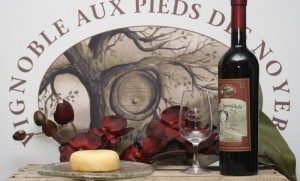 Vignoble aux Pieds des Noyers