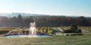 Vignoble Côte du Gavet