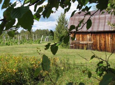 Domaine Le Cageot
