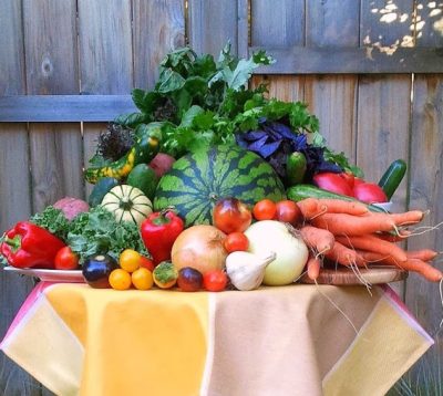 Ferme Roots and Shoots Farm