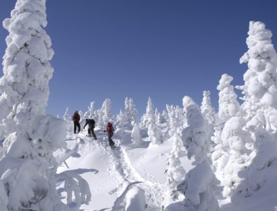 À l'orée de la forêt boréale!