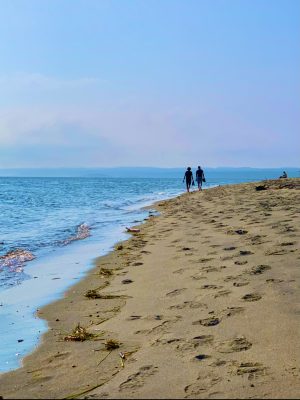 Un attrait incontournable de la Côte-Nord