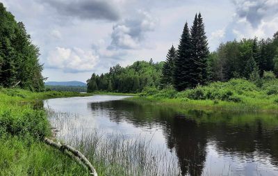 Estrie